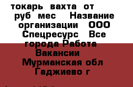 токарь. вахта. от 50 000 руб./мес. › Название организации ­ ООО Спецресурс - Все города Работа » Вакансии   . Мурманская обл.,Гаджиево г.